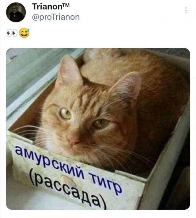 Тоже стал рабом