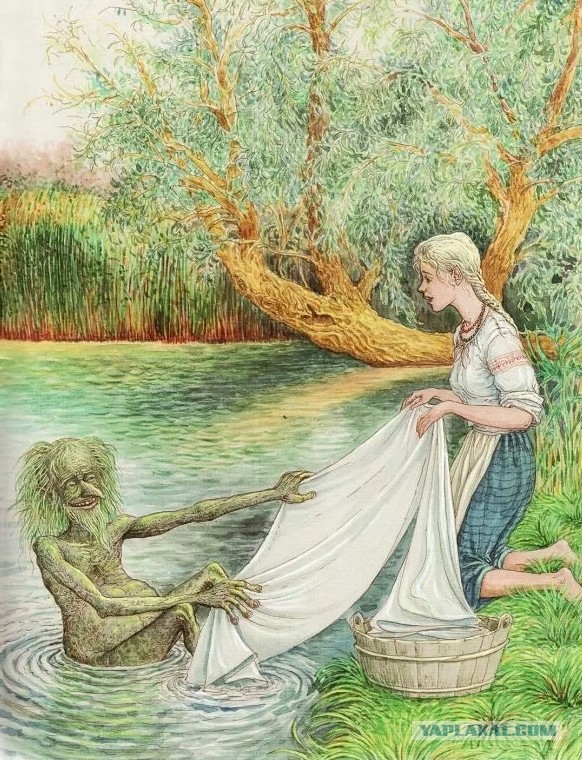 Нашёл книжку про драники.