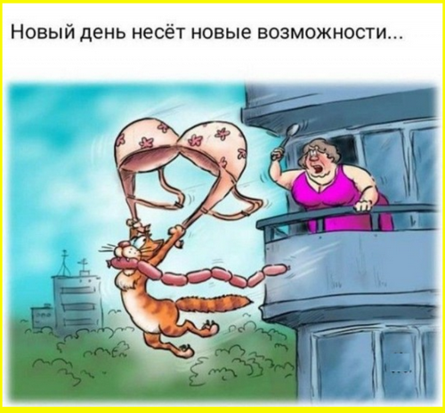 Веселое настроение в картинках (19.11.2025)