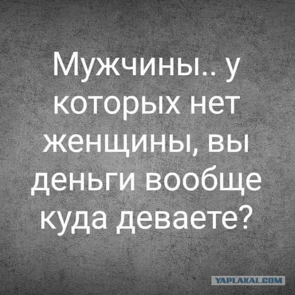 Весёлый полтишок 11.12.25