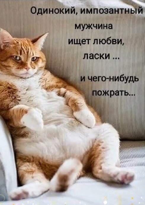 Понедельника картинки
