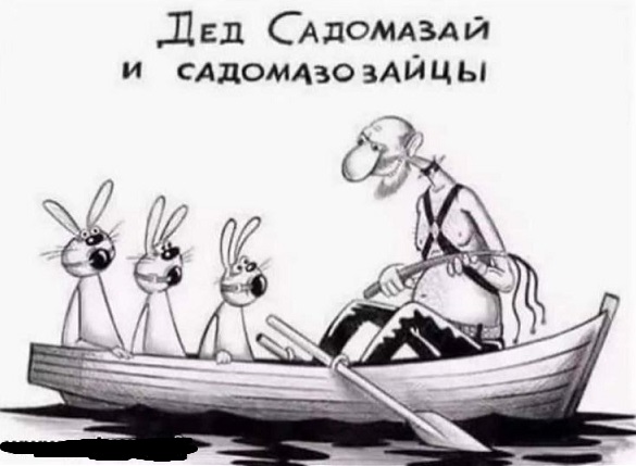 Мой кот