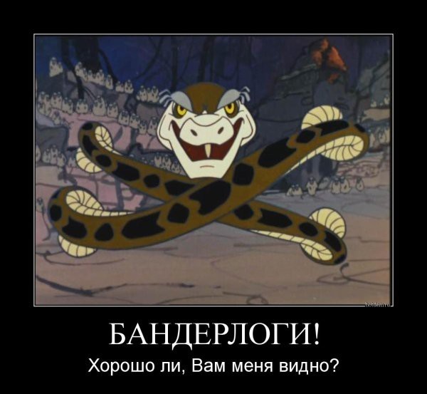 Абьюз в животном мире