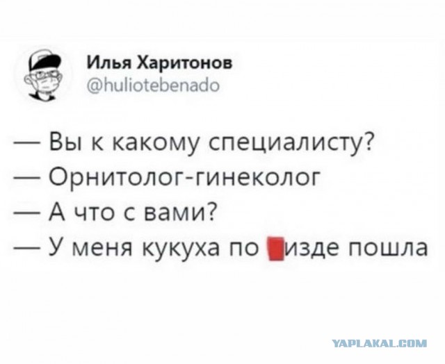 Субботим по баянам
