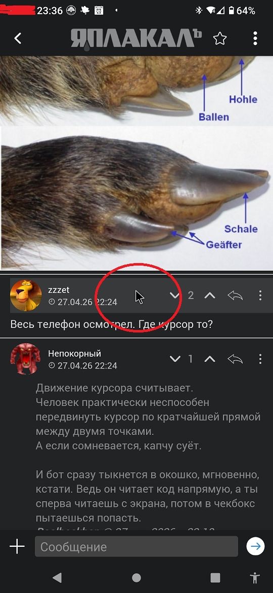 Подтвердите, что вы не бот.