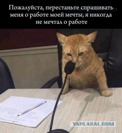 Меня многие спрашивают, как я живу без работы