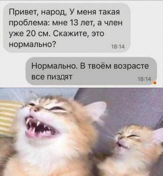 К котовторнику: подборка картинок-баянов с котиками и про котиков. Выпуск 43.