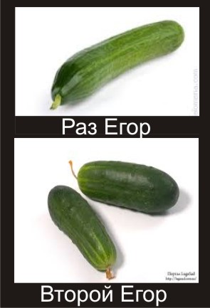 Подслушанный разговор