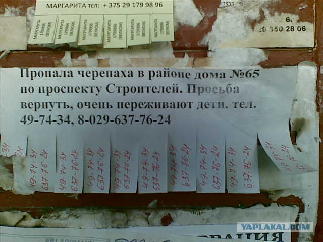 Лучшее народное творчество февраля