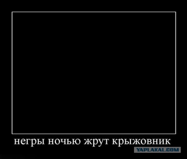 Черный волк