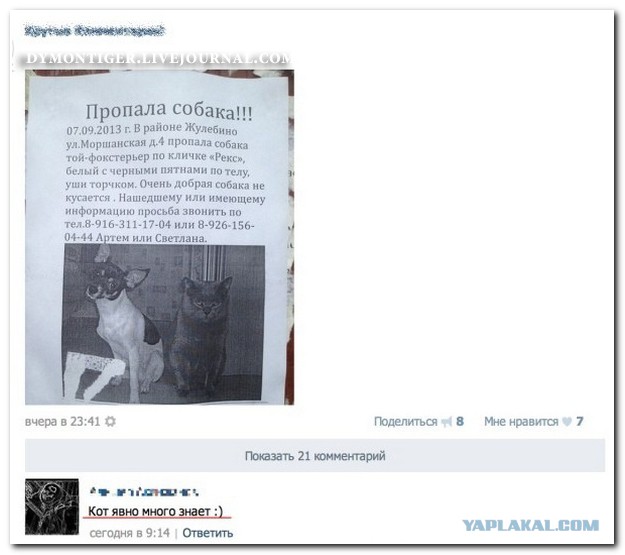 И снова смешные комментарии