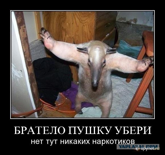 Мичуринский эксперимент - творобушек