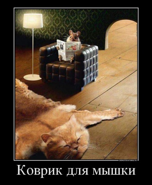 Смешные картинки и комментарии