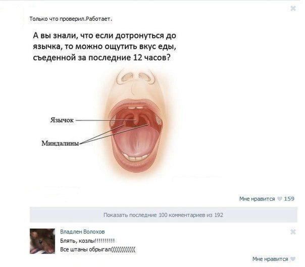 Свежие смешные комментарии из социальных сетей
