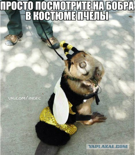 Чёрт, чёрт, чёрт!