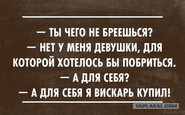 Cмешные баяны