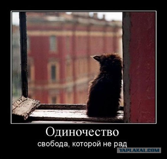 Давно демотиваторов не было