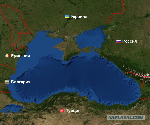 8 вопросов