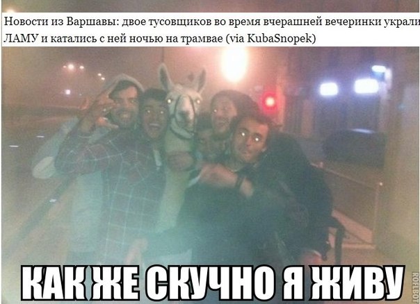 Вестник соц. сетей послепраздничный