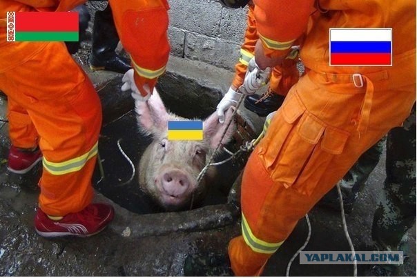 Украинские приколы.