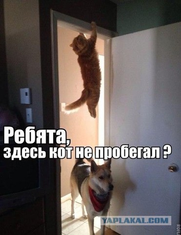 Пятничная подборка