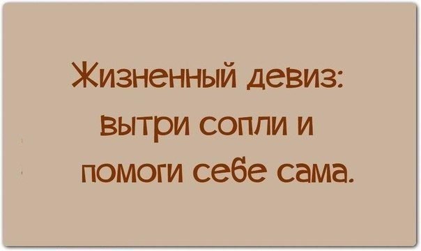 СтопХам-Впихнуть невпихуемое