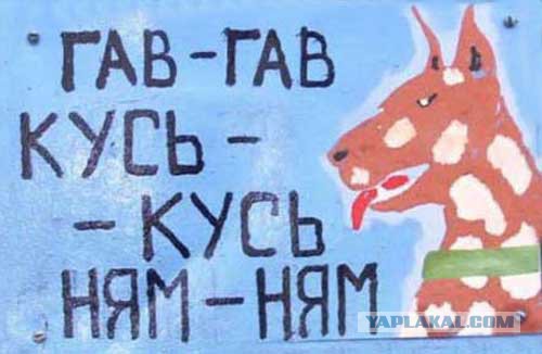 Таблички собачьи