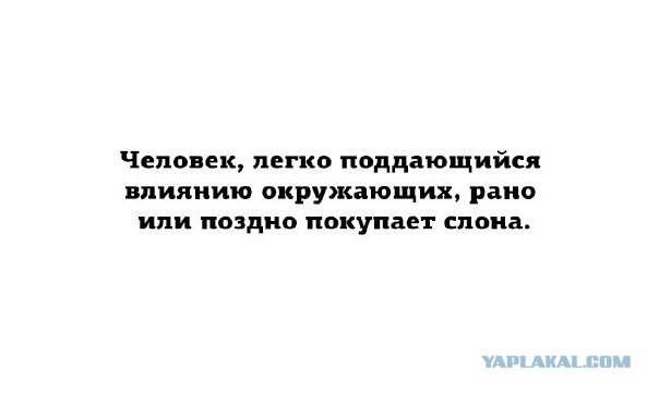 Весёлые открытки.....