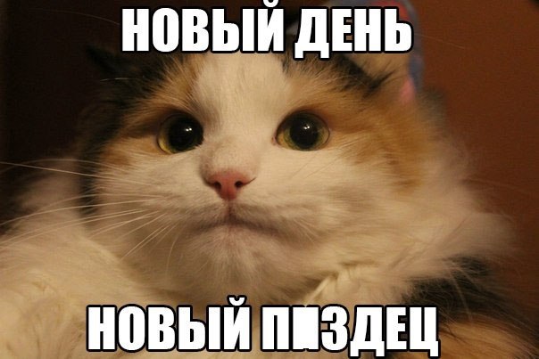 Приколы из сети
