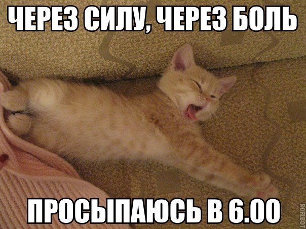 Картинки и демотиваторы
