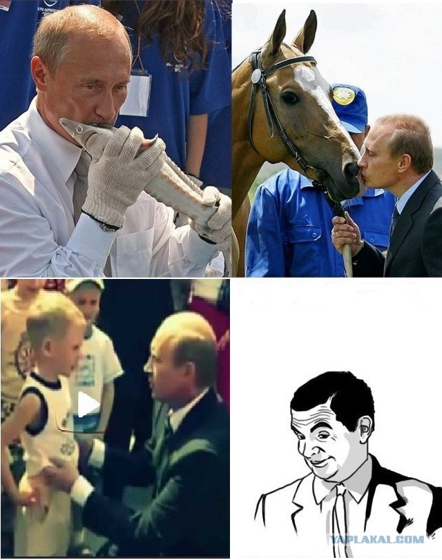 Путин с клювом в халате возглавил журавлиный клин
