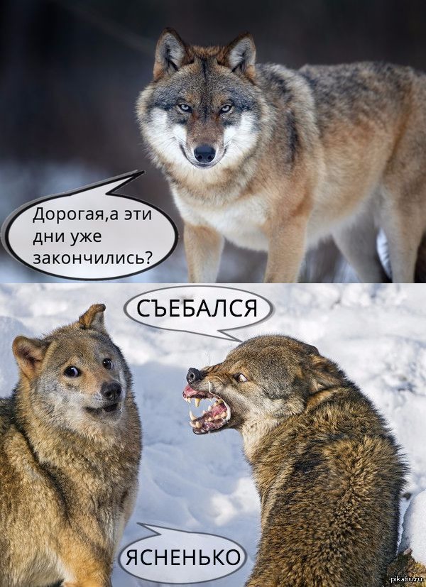 Забавные картинки из Сети
