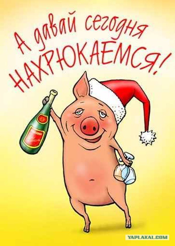 Давайте знакомиться