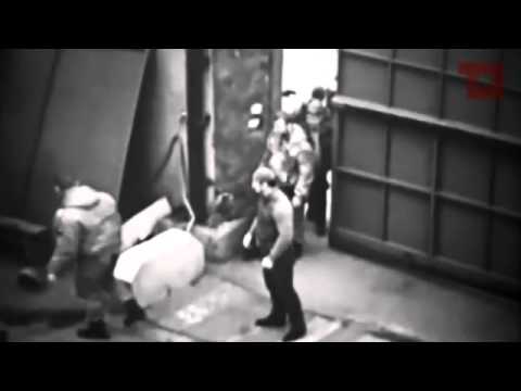 «Если бы не демократия»: моськи и овчарки Кадырова