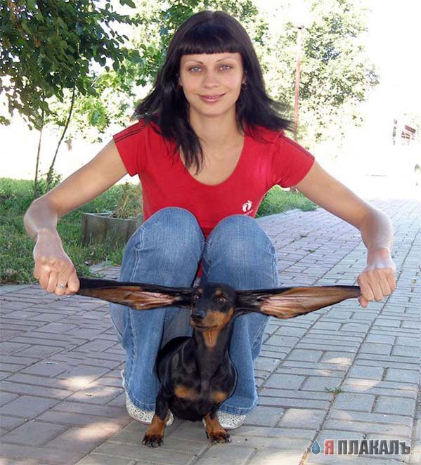 Хозяева приколисты с СОБАКАМИ и ЩЕНКАМИ