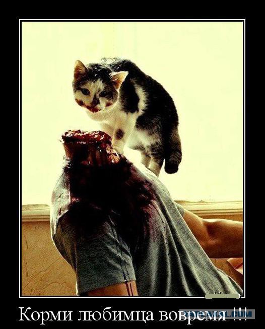 Как правильно давить слезу