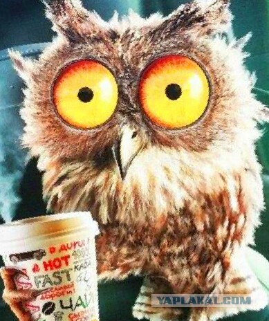 Спортивная девушка Наташа 18+