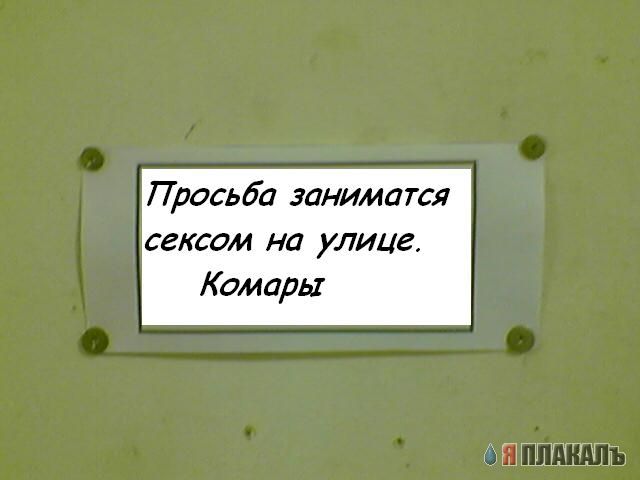 Фотожаба: Обьявление от комаров