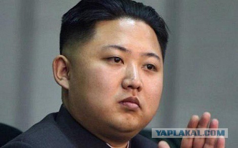 Девушка ела кукурузу с дрели и лишилась части волос