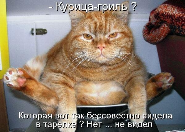 Мохнатые беспредельщики