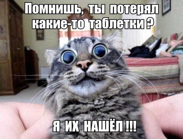 Только интроверты могут увидеть скрытые здесь картинки!