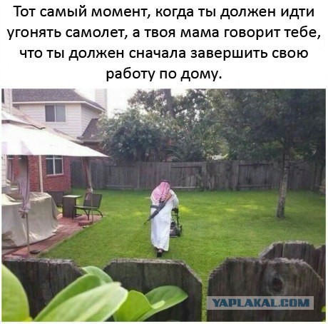 Смешные комментарии из соцсетей