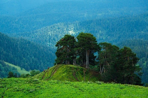 Картинки для отдыха глаз
