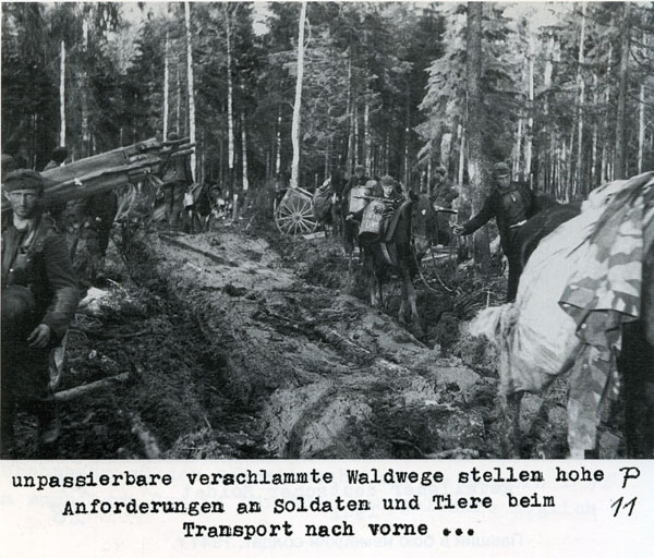Волховский фронт. 1942. Взгляд с той стороны.