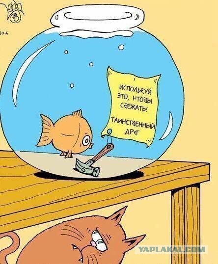33 картинки упоротого арта