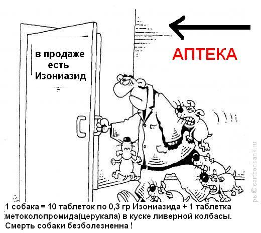 Как я стал убивцем (за друзей нужно мстить).