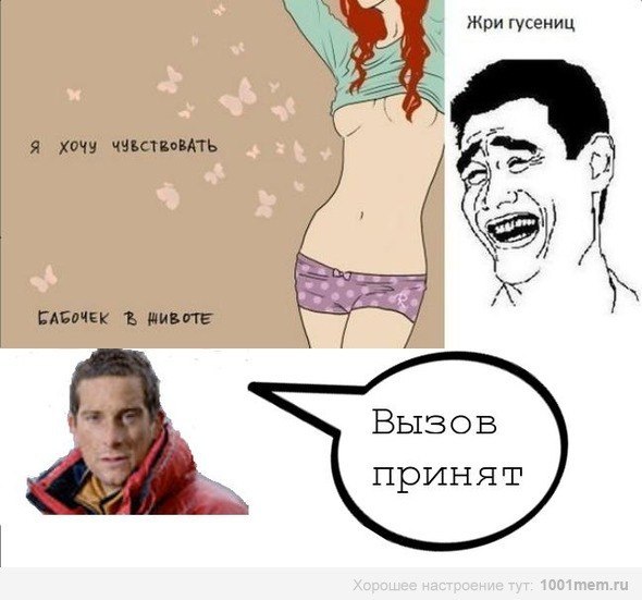 Картинки из интернетов