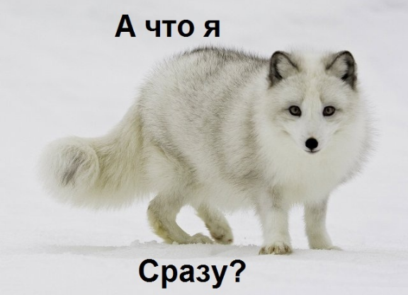Акимова смачно выругалась на стрельбе - "пи**ец" (с)