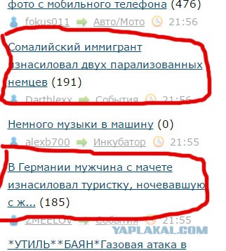 Сомалийский иммигрант изнасиловал двух парализованных немцев