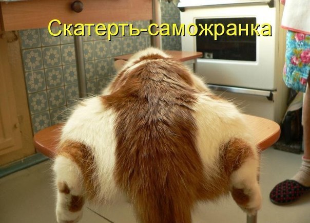 29 картинок